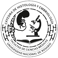 HISTOLOGÍA, EMBRIOLOGÍA Y GENÉTICA HUMANAS