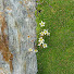 rZ5ZCmr9oY4-channel-avatar-Grandeur Nature