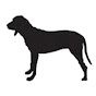 Dog Not Gone logo