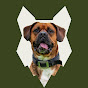 Fenrir Boxer Show Avatar