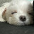 @쫑쫑-b6l