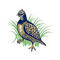 Quail Tools logo