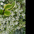 @국민이여하나되자