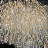 @fireworks2170