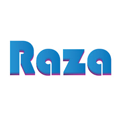 Raza Graphics net worth