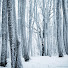 ELK2IRZ3BV8-channel-avatar-RELAXING SOUNDS MEDITATION BLACK SCREEN