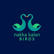 NK Birds