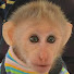 svvjdfKEcUM-channel-avatar-Monkey Na