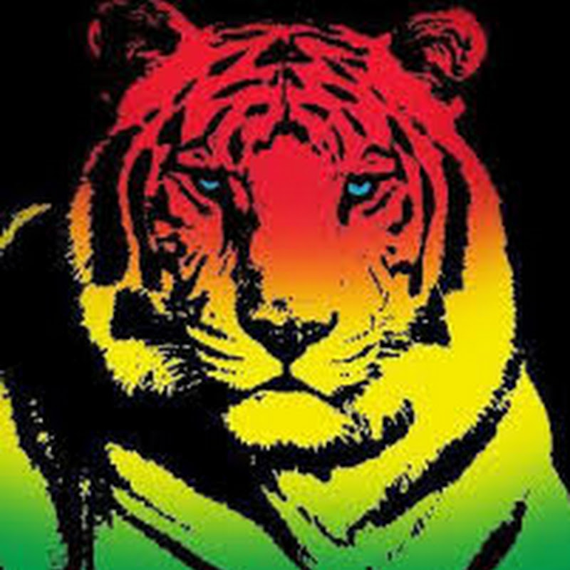 Rasta Effect icon