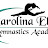 Carolina Elite Gymnastics