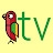 ptichka-tv - канал о попугаях