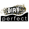 What could Dirt Perfect buy with $210.7 thousand?