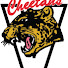Vanier Cheetahs