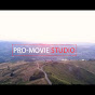 Pro-movie studio logo