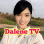 Dalene TV logo