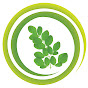 Moringa Caribbean Slovensko logo