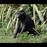 8-aahFmNqaE-channel-avatar-nivolarama