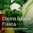 COCINA “Cocina Básica Y Fresca” BASICA Y FRESCA