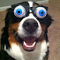 Channel Image