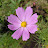 @user-cd8nk2qm8f
