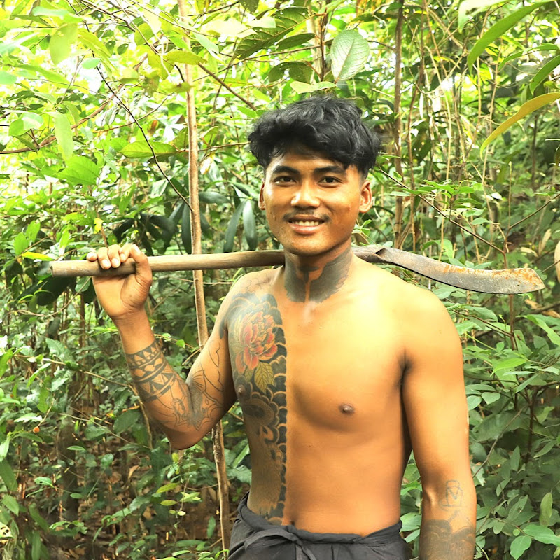 Jungle Unique Wilderness