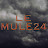 Le Mule24