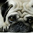 @MrAdesaxo31's avatar