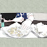 EOfgSvj67DI-channel-avatar-ヘビフロッグch