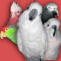 Preen Acres Parrots