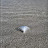 @richardwebb4246 Avatar
