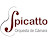 Orquesta Spicatto Pozuelo