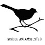 Amsel Steg logo