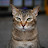 @octeuron's avatar