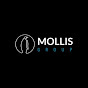 Mollis Group logo