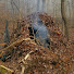 Ne8lBEmZMJQ-channel-avatar-Rice Creek bushcraft