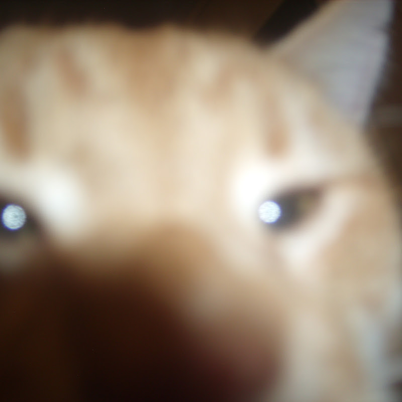 Annoyed2TheMax