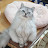 @user-rm4tl1sh5k