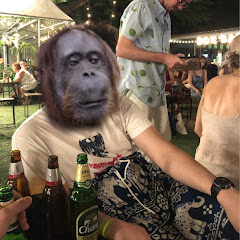 セイキン『嘘』