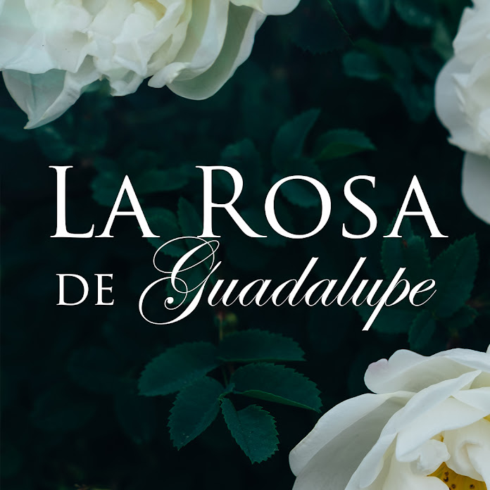 La Rosa de Guadalupe Net Worth & Earnings (2025)