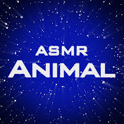 Animal ASMR