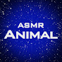 Animal ASMR Image Thumbnail