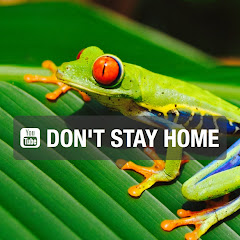 DON'T STAY HOMEチャンネル