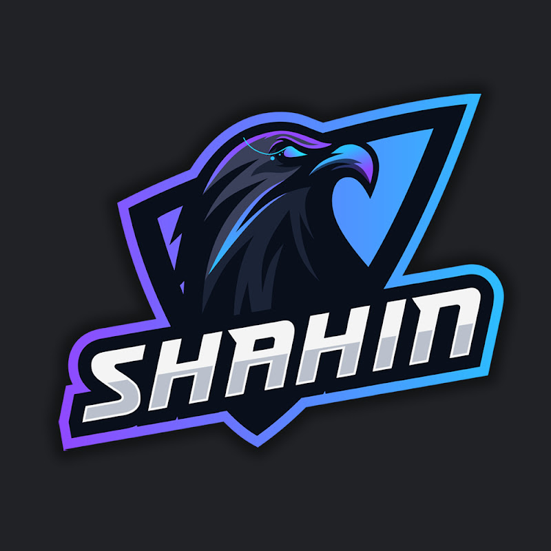 SHAHIN 200X logo