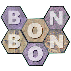 BonBonB net worth
