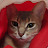 @user-nk1zh5df7c