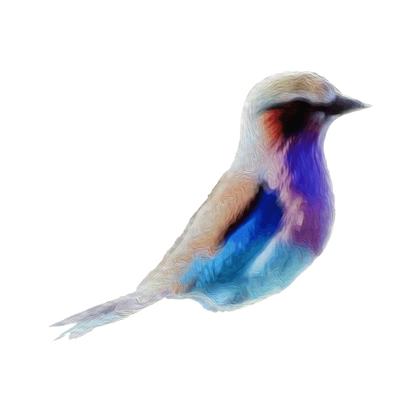 The Budvisor icon