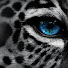 9kOyyM8ktdM-channel-avatar-WILD FAUNA