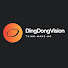 1QYJGfoOWxY-channel-avatar-DingDongVision
