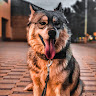 Автор