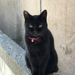 スピードジャンキー井上